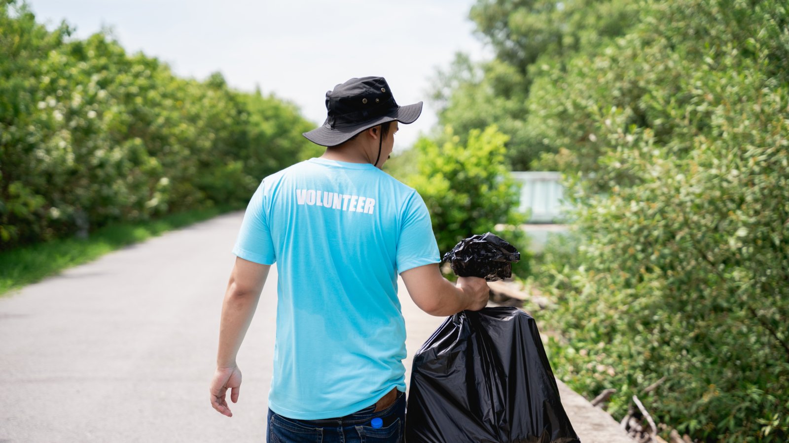 Volunteers clean discarded garbage in the forest park area. Environmental protection project.